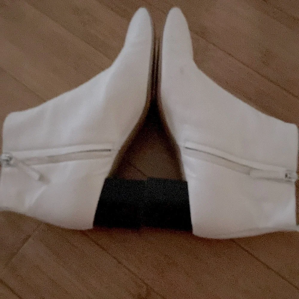 Sleek Everlane Day Boot